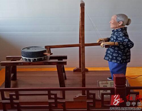 红网常宁站走进蓬塘荷你美丽相约(图)|荷花|红