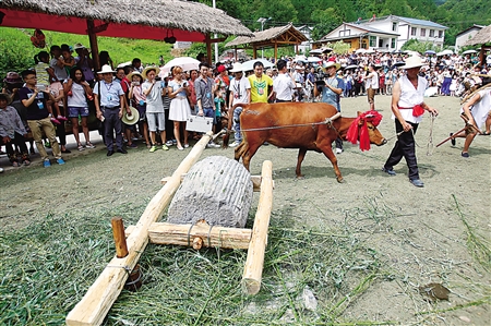 周末爸比去哪儿?带上孩子去河鱼吧!|家庭|孩子