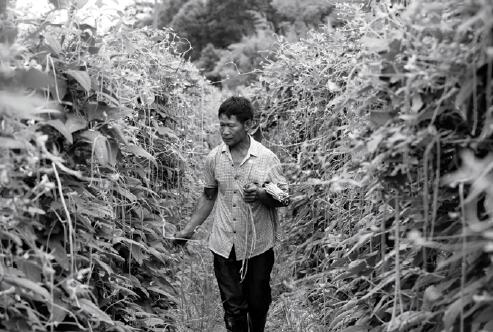 互联网金融农村拓荒记:京东阿里跑马圈地|农村