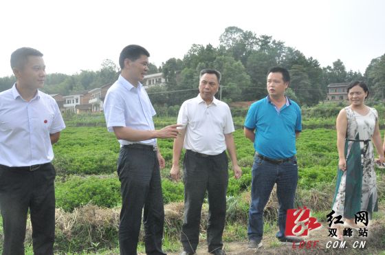 彭牡)8月8日,湖南省双峰县委书记禹敏,县委副书记,县长候选人彭石清到