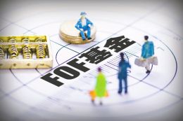 大战未至粮草先行 FOF掀起基金公司抢人潮