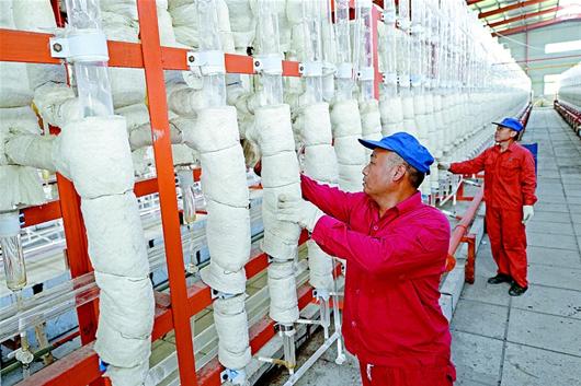 老河口经济总量_老河口中山公园的图片