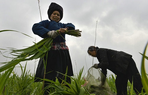 喻科:洞庭湖生态经济区建设税收政策选择分析
