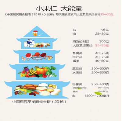 16全球风,风靡互联网的每日坚果|全球|营养|坚