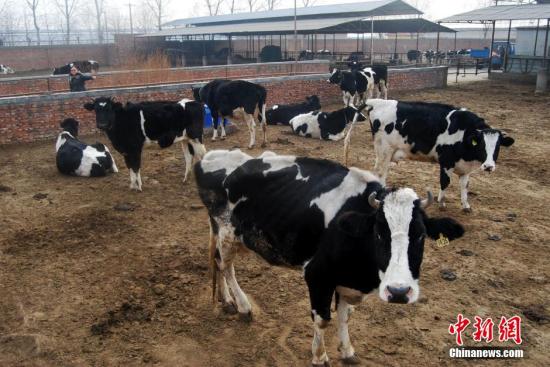「新濠博亚娱乐网首页」西安:机车文化节精彩纷呈