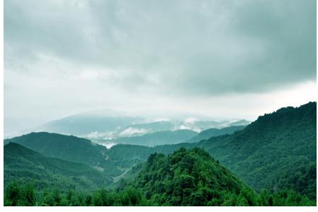 峨眉山涧秀丽景致 云中花岭人文奇观|山涧|云海