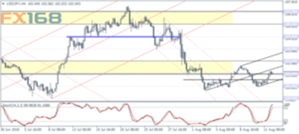 Lkg forex