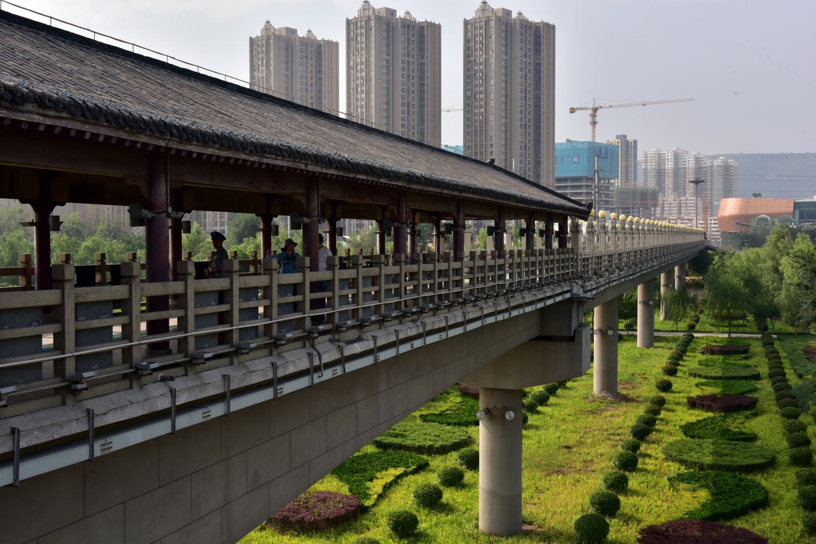 宝鸡创森十年:城市绿了,房价都跟着涨|宝鸡市