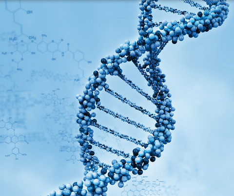 千亿级基因检测市场在招手:肿瘤检测将成下一