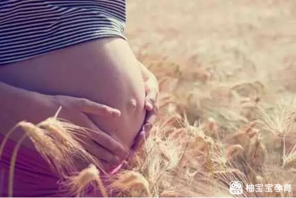点击图片查看详情 女方流动人口婚育证_:: 新华网安徽频道::(2)