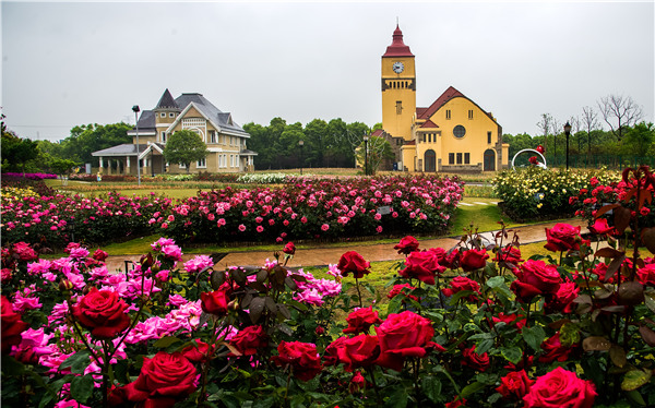 【家规·文化地理】苏州太仓:王氏故里 书香久