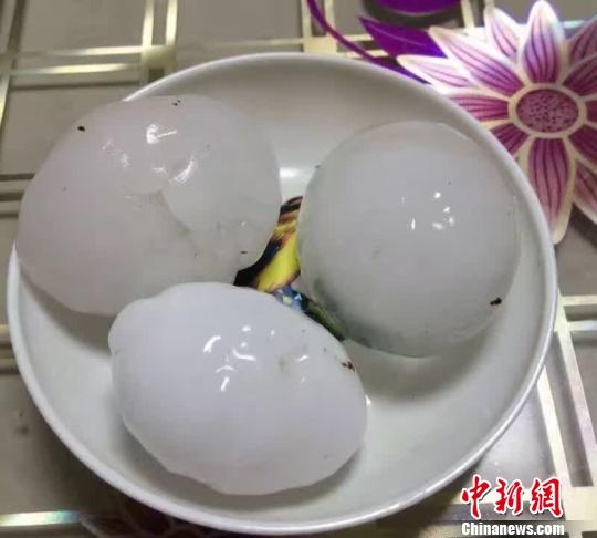 图为民众将鸡蛋大小的冰雹盛放在盘子里。马俊 摄
