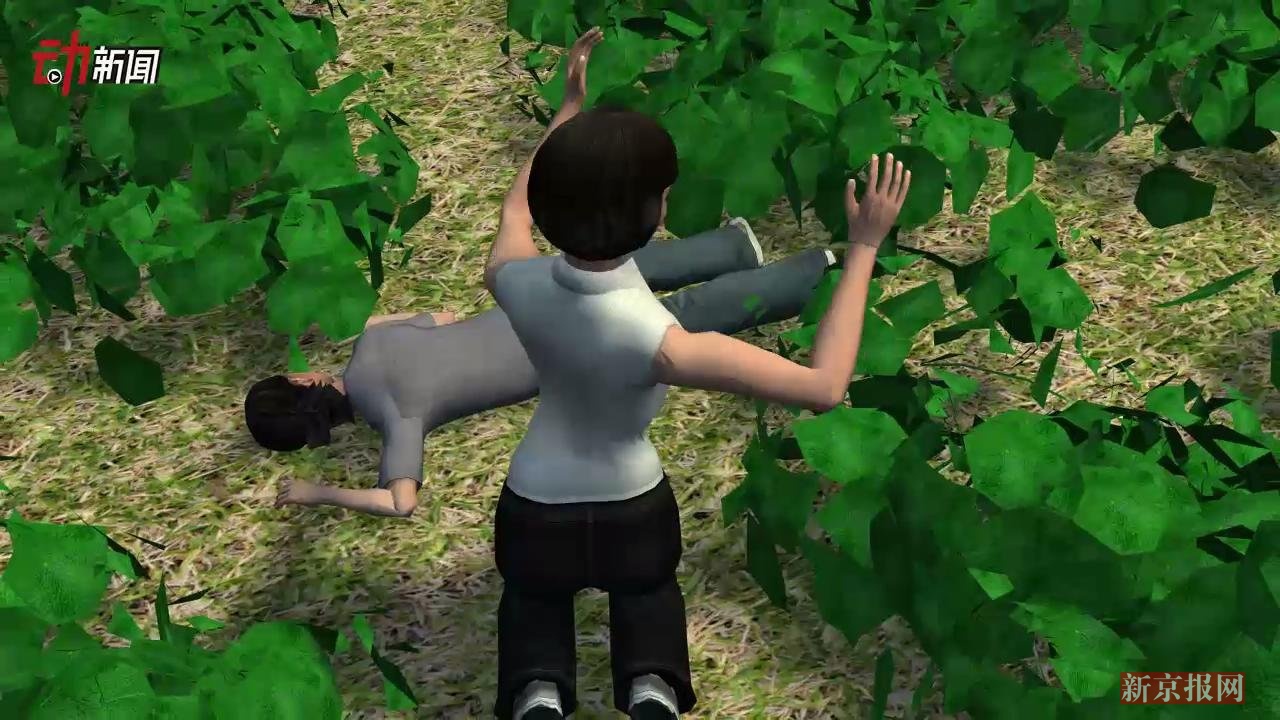 3D:安徽9岁女孩田地遭射杀 嫌疑人:原来不是兔