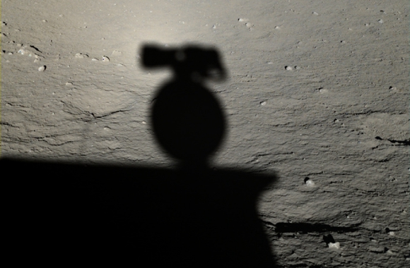 那只世界上最萌的兔子教会我的事:挑战黑暗未