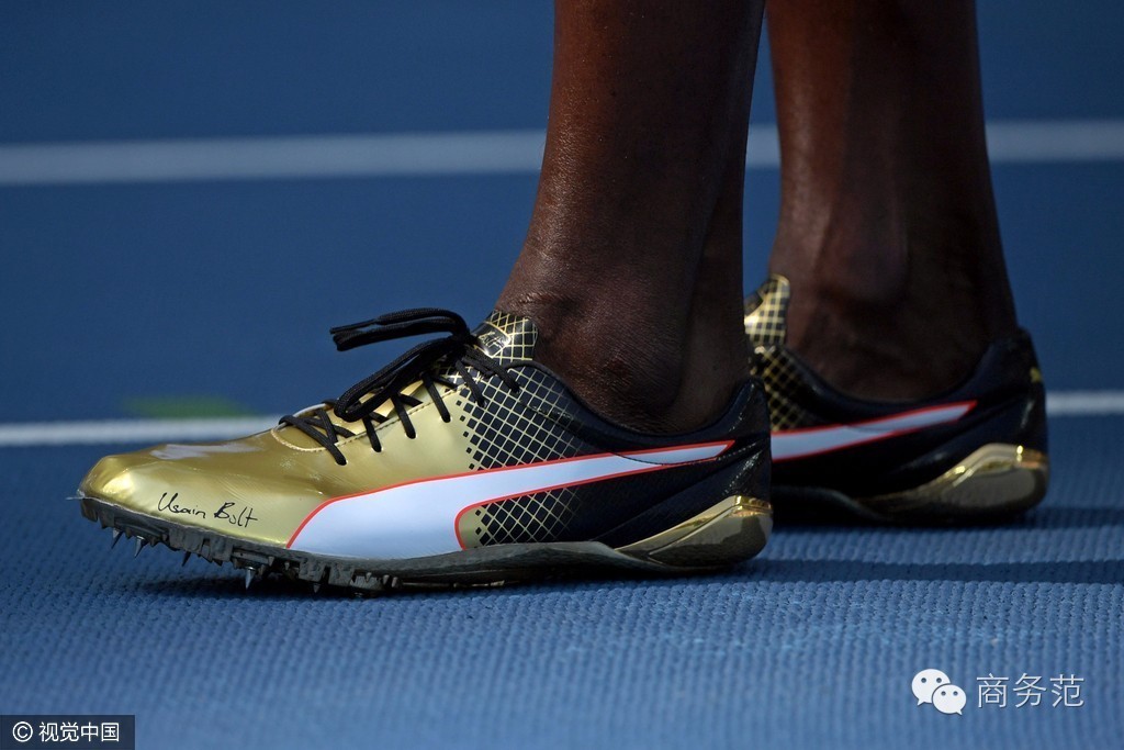 puma complete theseus