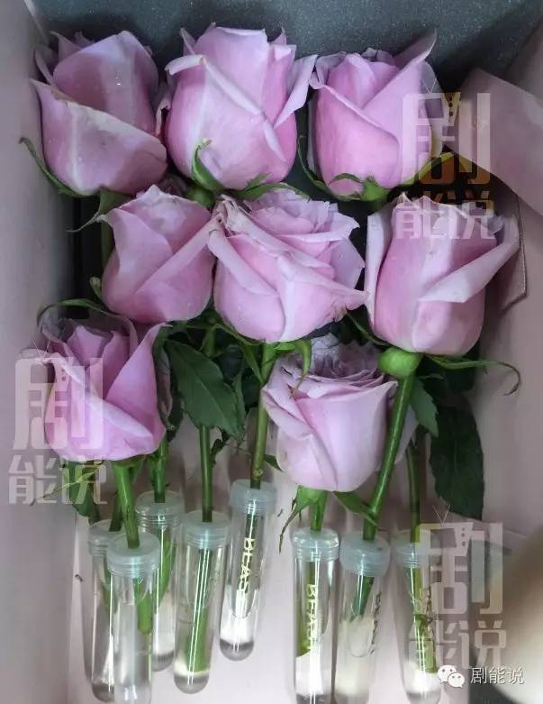 时时彩三星豹子000 - 武汉新闻网