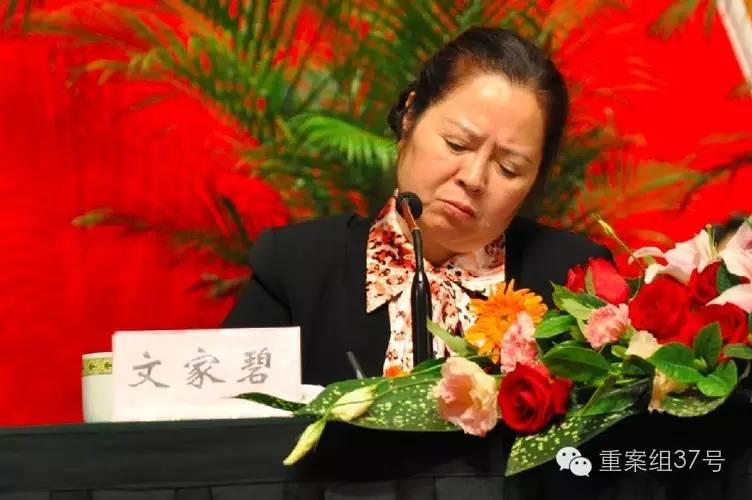 四川红会原书记的敛财之道:借汶川地震重建获