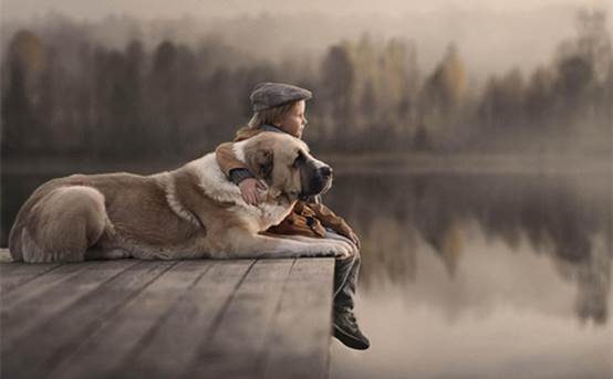 九天理财:油价早间低开低走,冻产计划或难敌供