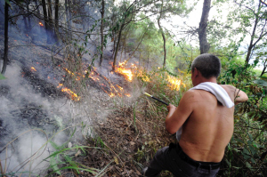 九龙坡百亩森林起火 直升机支援|灭火器|火灾|天