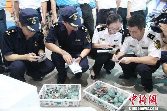 海关检验检疫联手作业 进口生鲜当天可上深圳