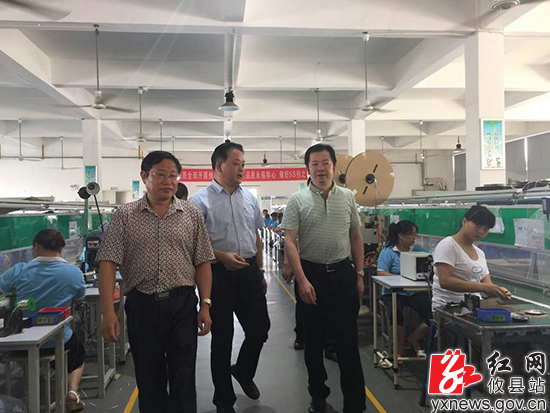 湖南省攸县县委副书记,县长提名人选苏涛在攸州工业园调研