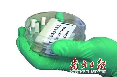 用海洋生物炼骨水泥为人类接骨|海洋生物|水