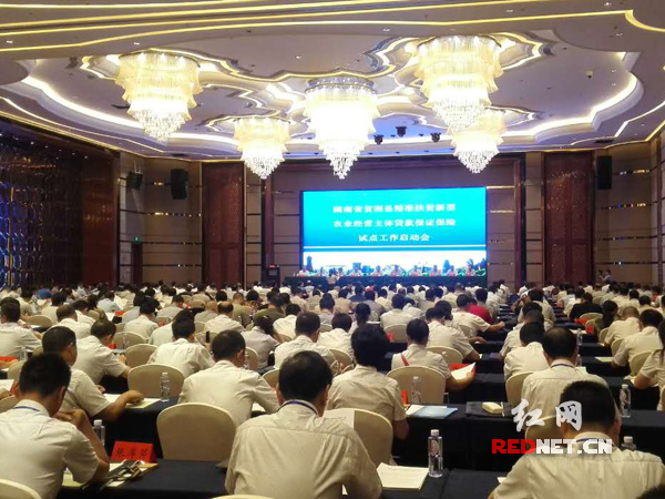 湖南省精准扶贫财银保试点启动 覆盖51个贫