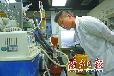 用海洋生物炼骨水泥为人类接骨|海洋生物|水