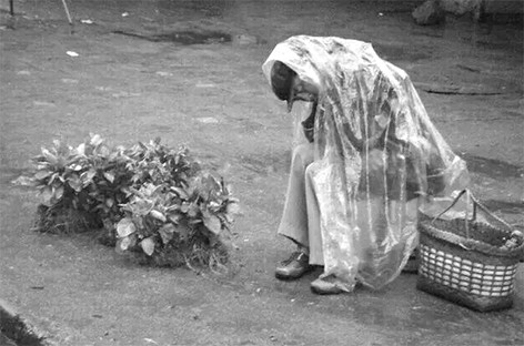 卖菜老人的坚持