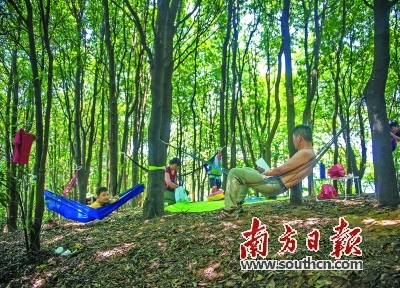 筲箕窝水库 一抹清凉随波来|水库|凤凰山|筲箕窝