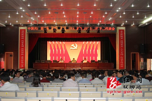 双牌县第十次代表大会副科级以上领导干部代表