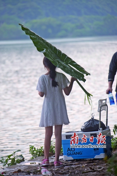筲箕窝水库 一抹清凉随波来|水库|凤凰山|筲箕窝