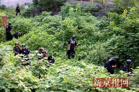 抓捕现场。新乡警方供图