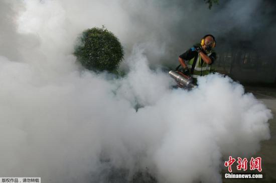 当地时间8月31日，新加坡卫生防疫人员在公共住宅区下水道喷洒驱虫药。