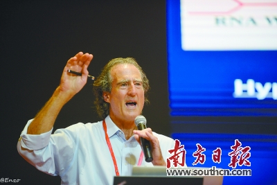 克雷格·梅洛