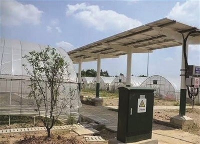 蔬菜大棚旁铺光伏面板 每年发电净赚百万|光