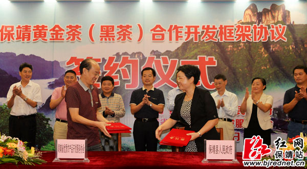 保靖黄金茶(黑茶)合作开发框架协议签约|签约|协