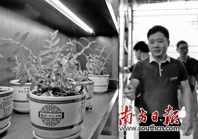 肥料登记证