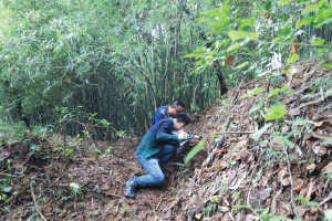 300年来重庆最杰出书画家埋骨跳磴镇|重庆|墓