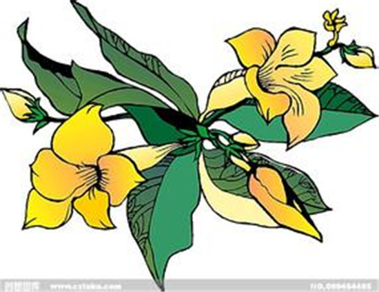 引领世界经济新潮流|世界经济|峰会|发达国家_