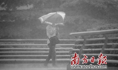 11日下午，广州暴雨如注。在五羊邨地铁站附近，行人的雨伞被风吹变了形。南方日报记者 王良珏 摄