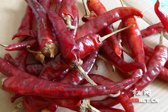 株洲醴陵明月镇玻璃牛角椒产业寻求投资者|玻