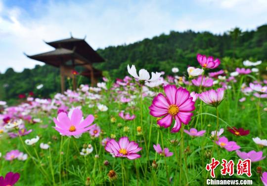 2012年株洲gdp_去年株洲GDP突破2500亿元大关城乡居民收入增幅跑赢GDP