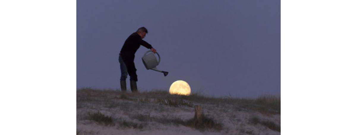 关于中秋、关于明月,那些美到窒息的诗句.