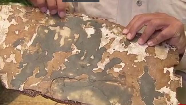 澳媒:疑似马航MH370烧焦残骸或首次证明机上曾着火