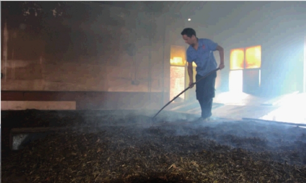 煮茶论英雄 六大黑茶谁主沉浮