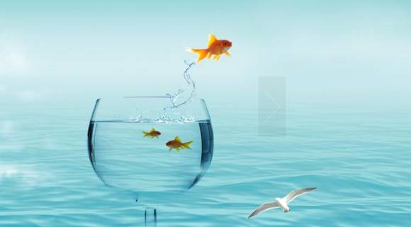 兴泸水务想在港主板上市 股东泸州老窖能加多