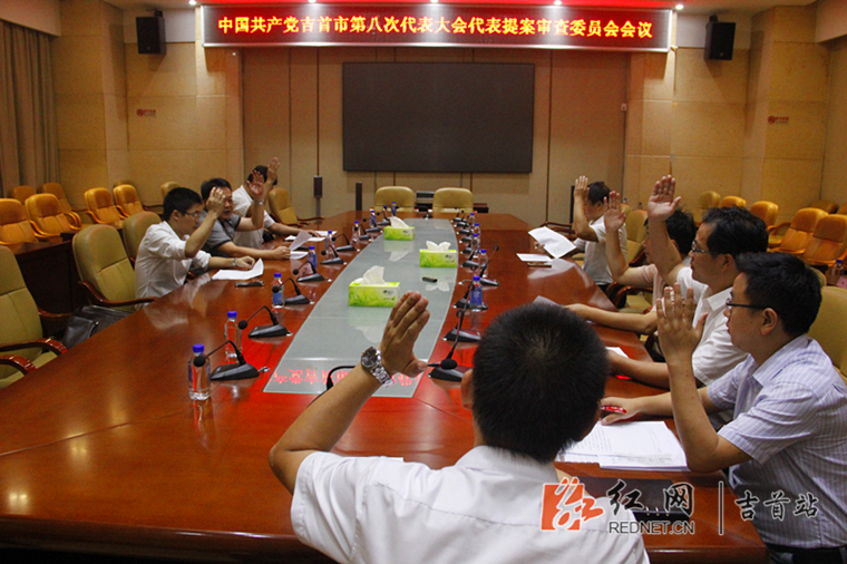 吉首市第八次党代会共收到代表提案30件|代表