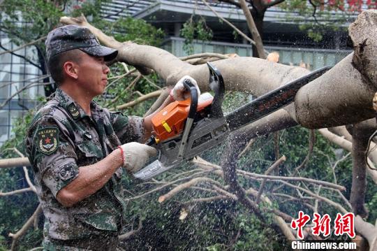 东部战区科学指挥高效用兵奋战台风“莫兰蒂”