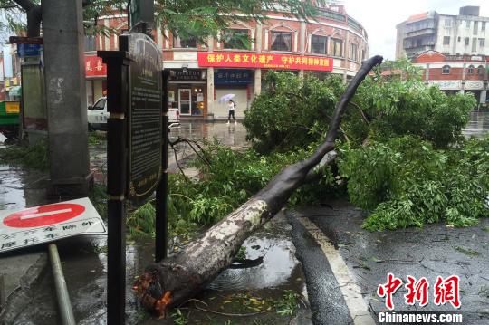 9��15�գ�����Ȫ������������ɽ·�ϣ���ľ��·�Ʊ��޷�ζϡ� ��� ��